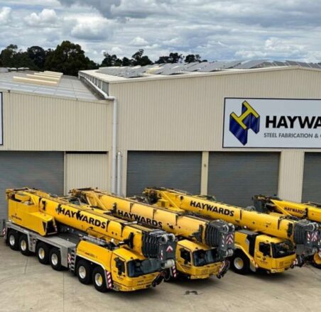 2 series Haywards-Crane