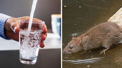 Melbourne water shut down